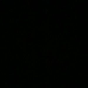 Meet your Posher, Dylan